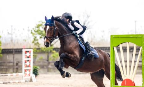 奥运冠军家乡合集,奥运会冠军家乡观看比赛