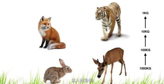 我们为什么不吃食肉动物，专家们说出原因，存在“潜在威胁”？