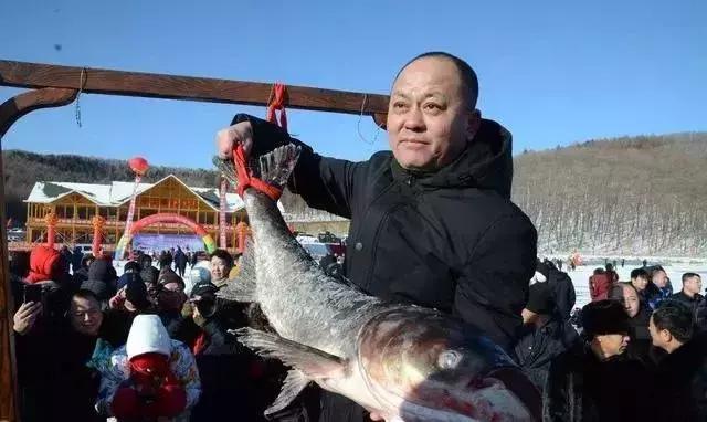 东北2019新“鱼王”喜现七台河
