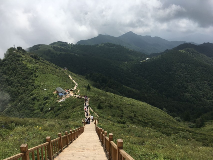 吃在驼梁，体验舌尖上的味道/郝贵云