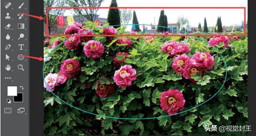 ps图变鲜亮,ps黑白的图怎么变成五颜六色的