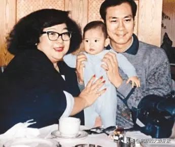 沈殿霞和郑少秋分手原因,郑少秋和肥肥沈殿霞结婚几年