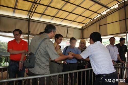 农村三大赚钱的项目有哪些,利润很吓人的10个冷门农村项目