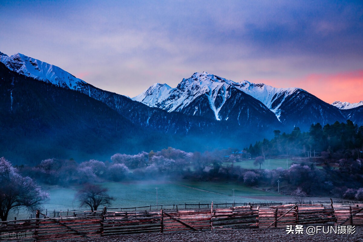拍的照片太模糊看不清怎么办,对焦前模糊后清晰的照片怎么拍
