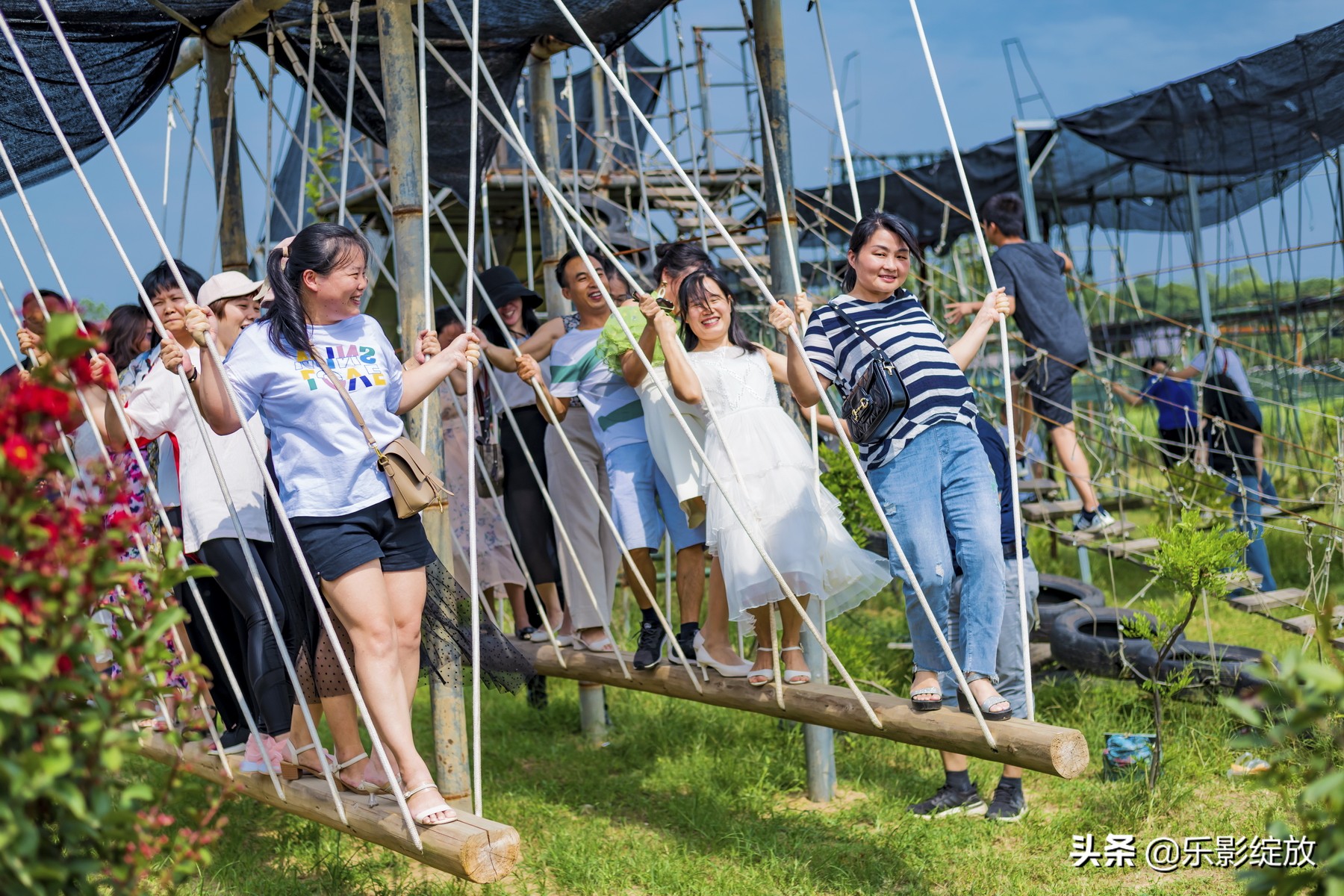 二十年相聚完整版,二十年再聚首