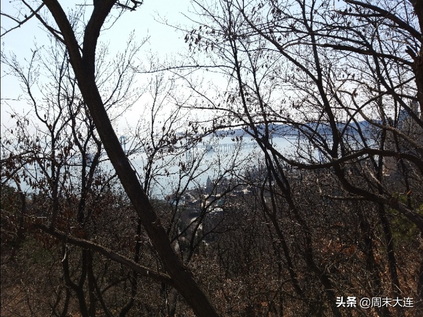大连莲花山风景区,大连莲花山和森林公园