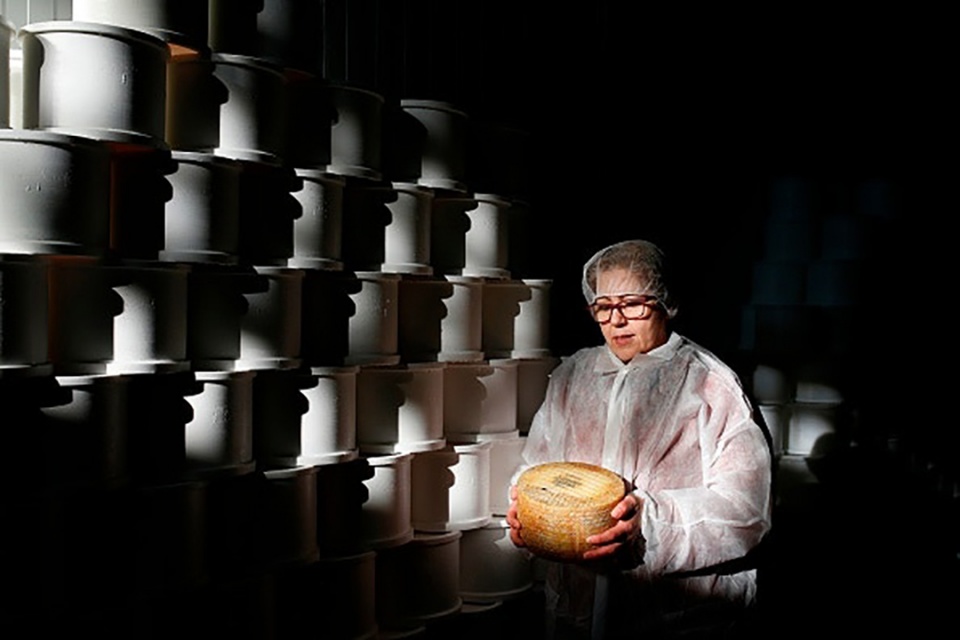 如何分清各种芝士,如何选择适合自己的芝士种类