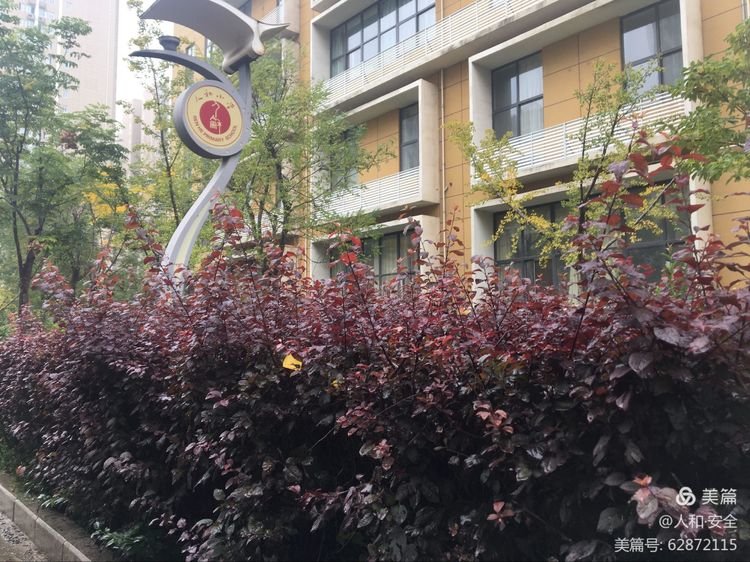 陕西省渭南市临渭区人和小学,临渭区人和小学