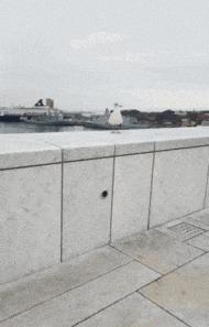 搞笑GIF开心一刻：你这日子不容易，吃大米粥配食盐