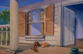 小时候看不懂猫和老鼠的故事,小时候看猫和老鼠动画片