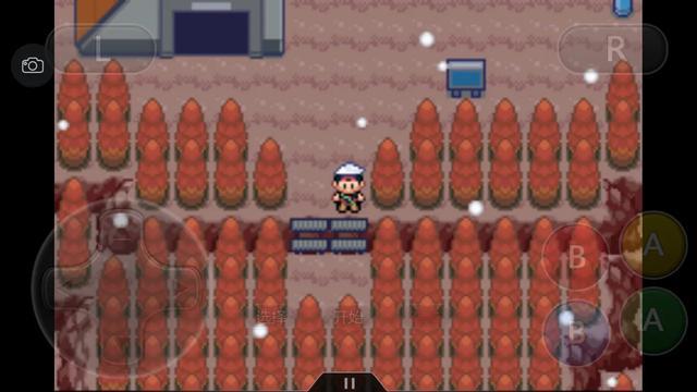 口袋妖怪究极绿宝石4全通关攻略,口袋妖怪究极绿宝石4完整版攻略