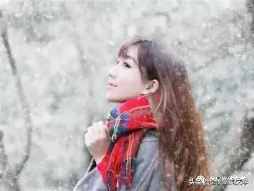 金凤凰古诗3首,金凤凰古诗作品