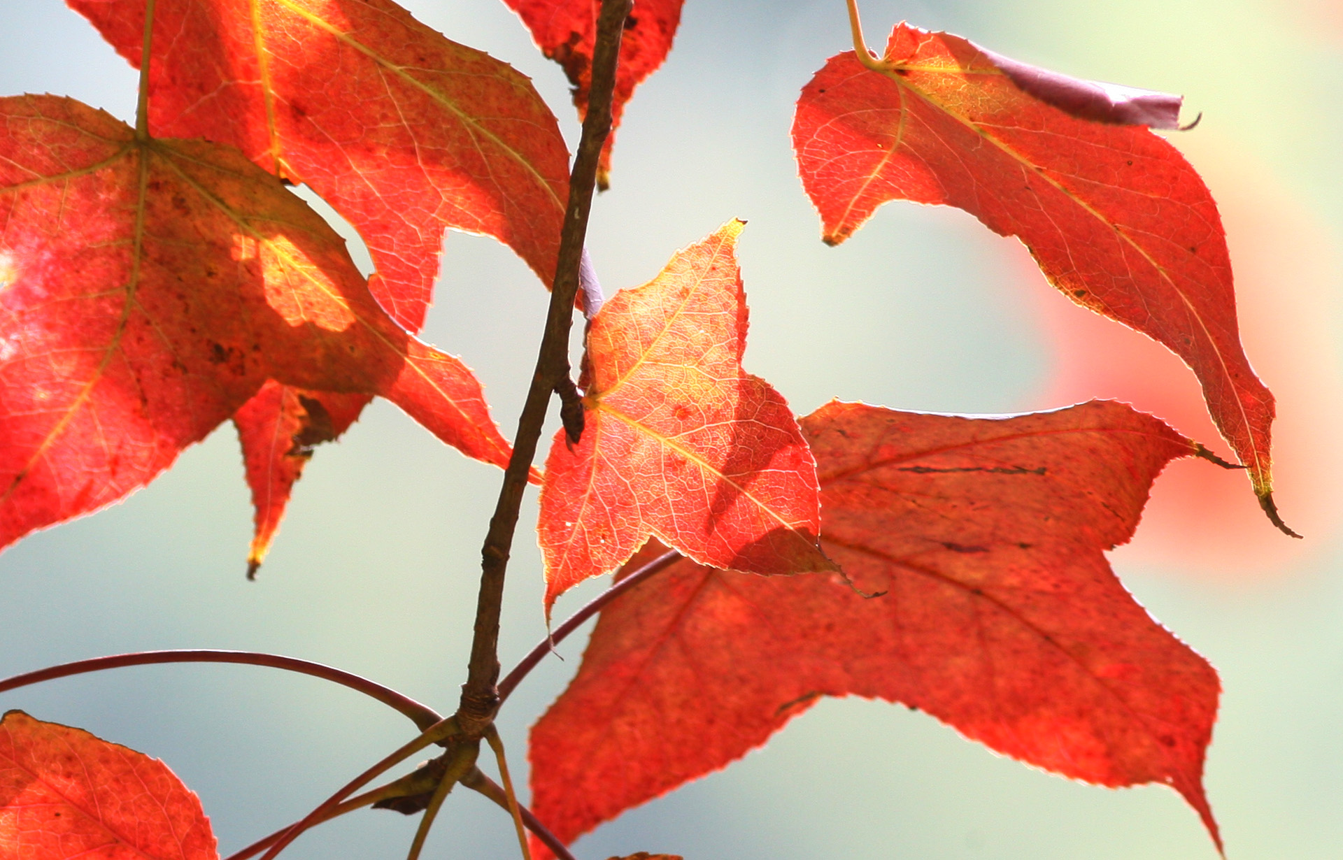 佳能1dsmark3还值得买吗,ds时代