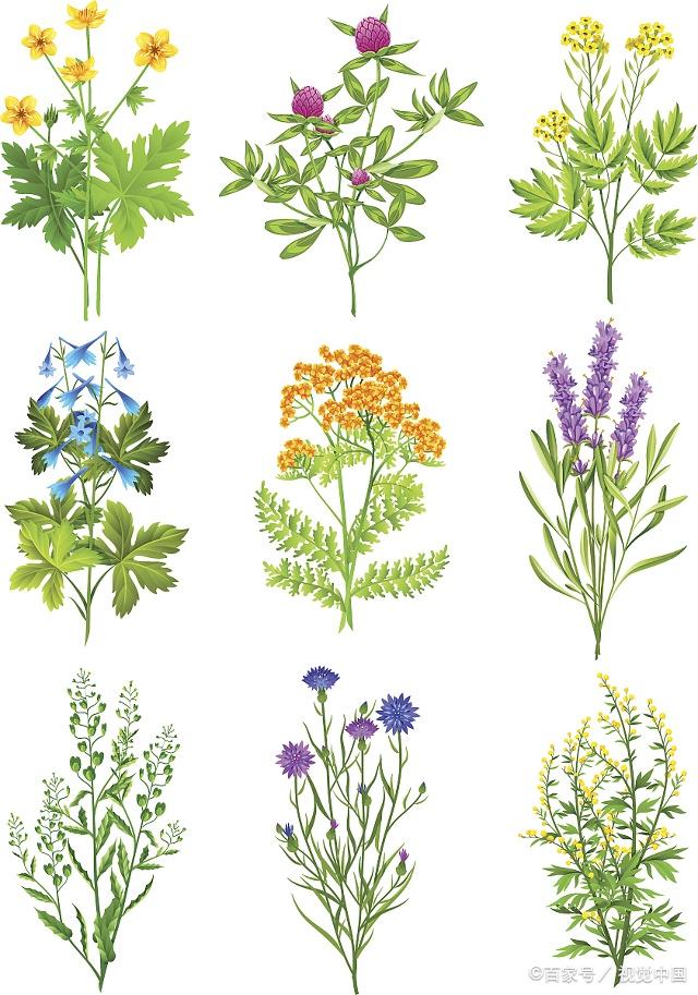 孕妈妈食谱5个月,春季炖汤食谱大全