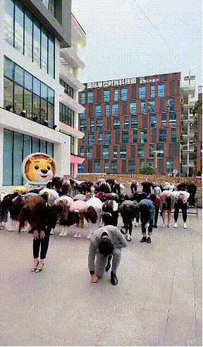 辛巴5分钟卖出超千万件螺蛳粉,13小时卖100亿