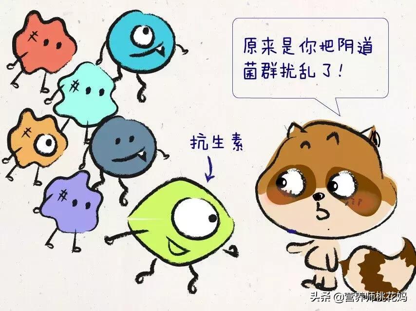 女性的生育系统是怎么做的,女性生育系统解析