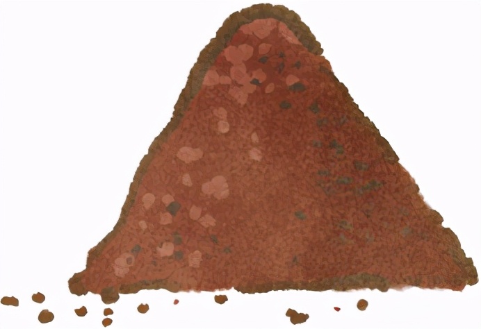 科普猫狗的危害,医生科普养猫狗提高婴儿的免疫力