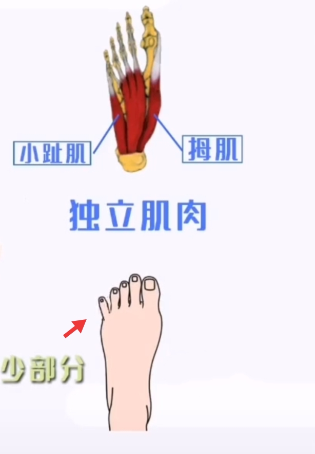 有些人的骚操作,一些人在现实中的骚操作