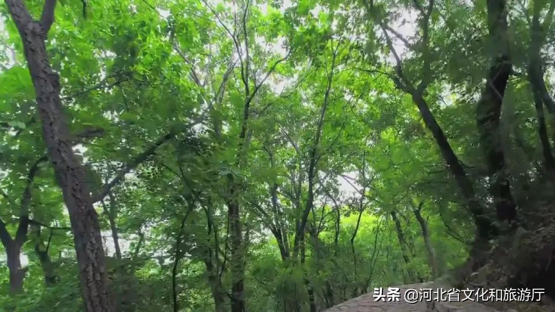 保定市狼牙山景区勇士陈列馆,河北易县狼牙山五壮士纪念馆