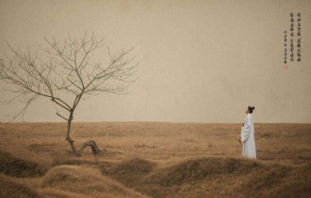 白居易的离离原上草指的是什么草,离离原上草是白居易几岁写的诗