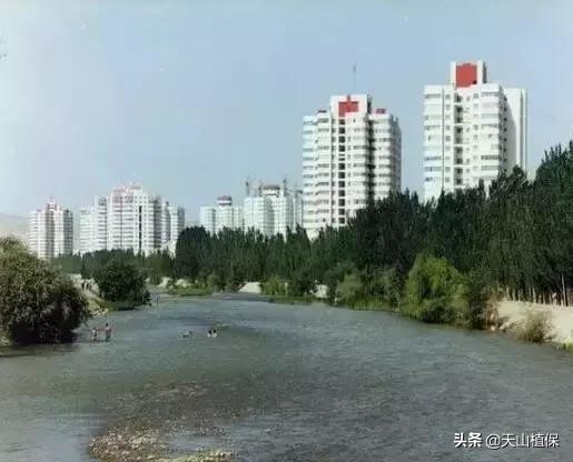 *疆新**库尔勒彻底火了！登上央视让世界瞩目，为库尔勒而骄傲