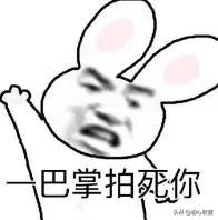 不吐不快翻唱翻车,兼职日语口译