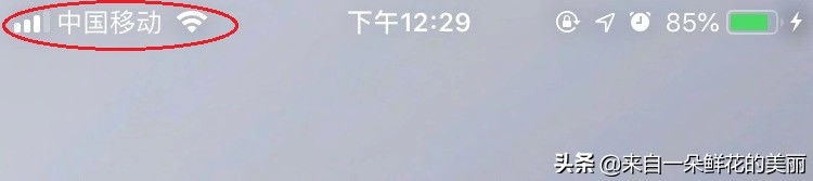 苹果手机满格信号为什么网速不好,小米手机信号满格但是网速很慢