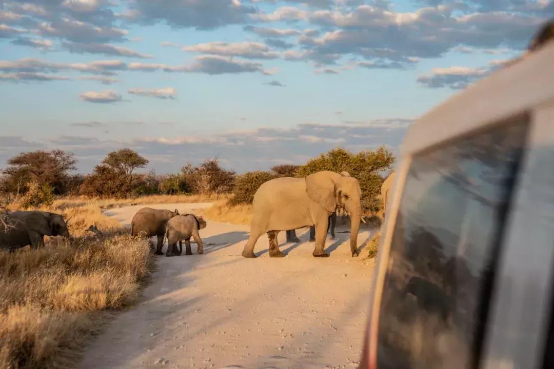 上海到南非海运多少公里,从香港到南非