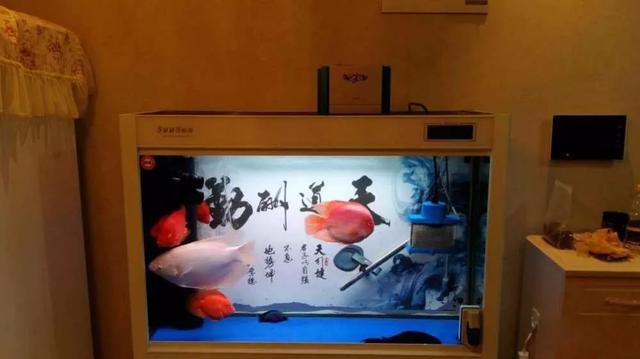 上岸原因令人震惊,上岸的缘由