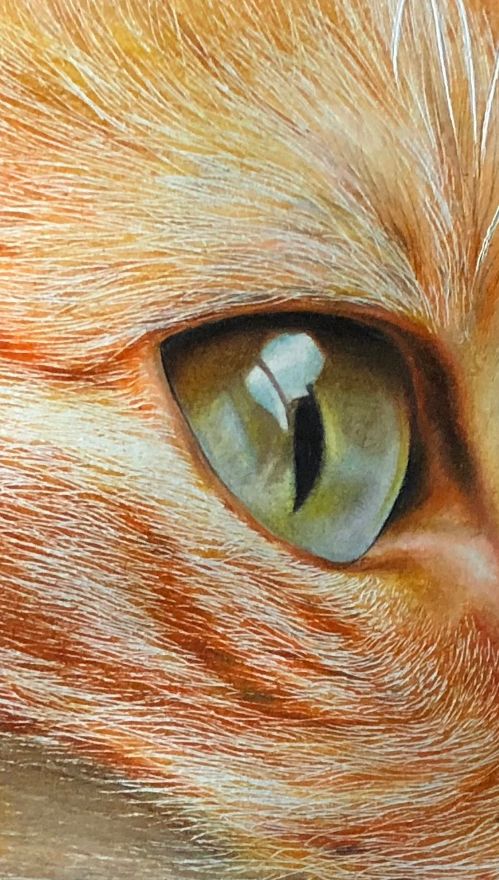 失明女孩铅笔画,手绘眼睛流泪铅笔画