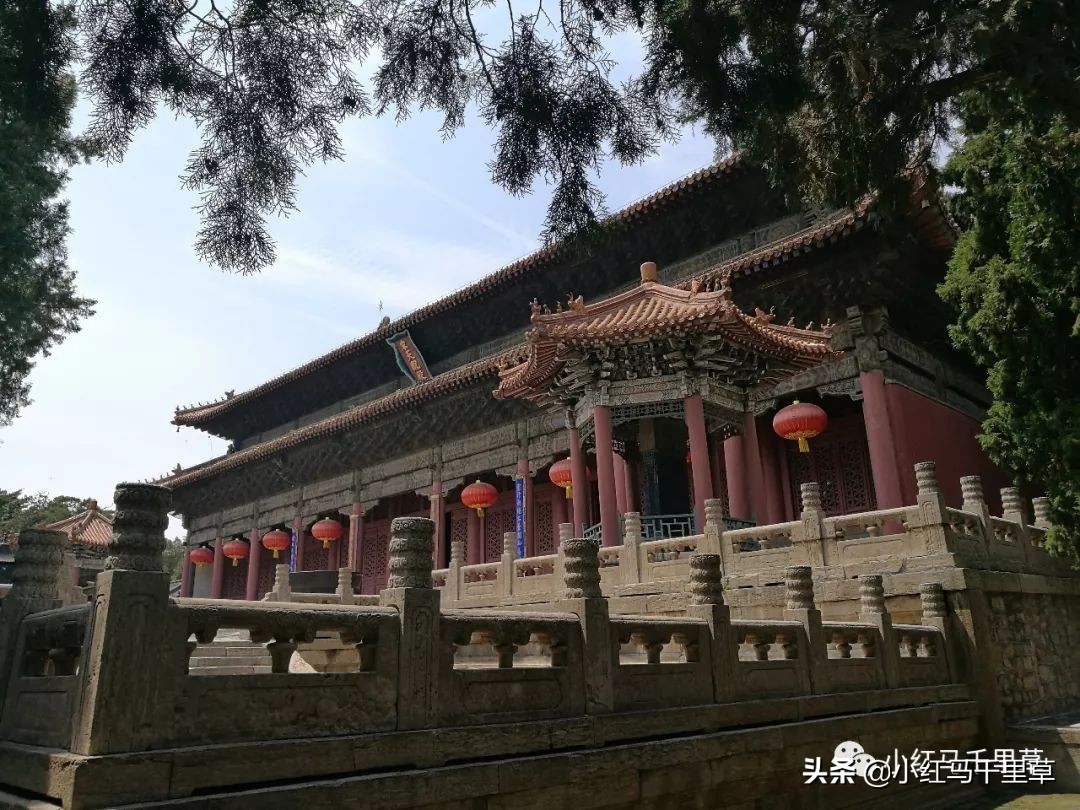 曲阜孔府孔庙孔林历史背景,曲阜孔府孔庙孔林一游