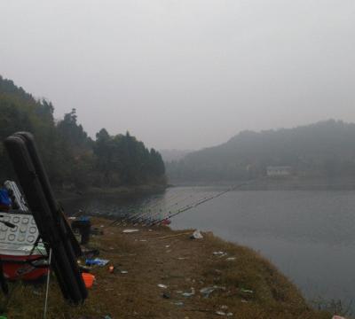 大李水库最新鱼情,各大水库近期鱼情