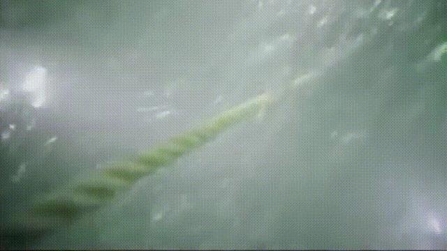 中国南海发现古董沉船,我国南海发现古沉船