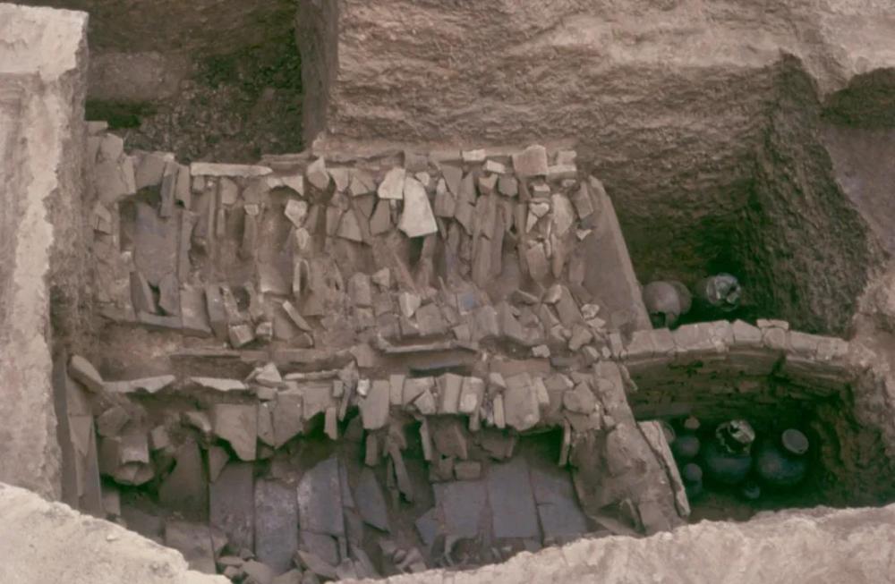 鍟嗕笜杩斿晢鏀跨瓥,鍟嗕笜瀵诲晢缁撴灉