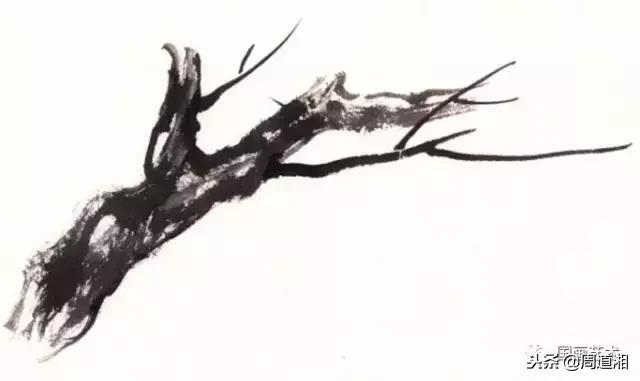 图文教程一学就会画写意菊花,零基础学画梅花教程