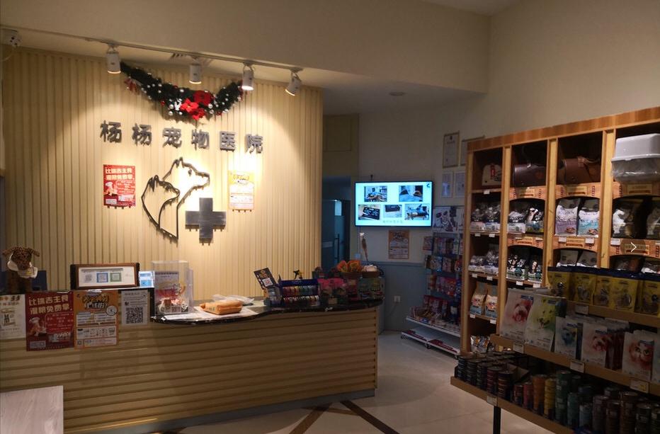 南宁二十四小时宠物医院,南宁宠物医院24小时急诊多少钱