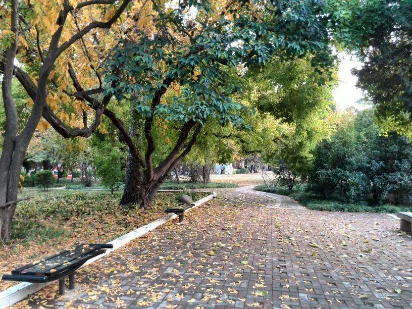 这辈子没有儿子真的不幸福了吗,没有儿子晚年真的很惨吗