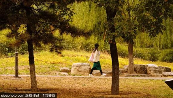 10月北京最佳小众旅行地！绝不能错过的秋色，到底有多美？