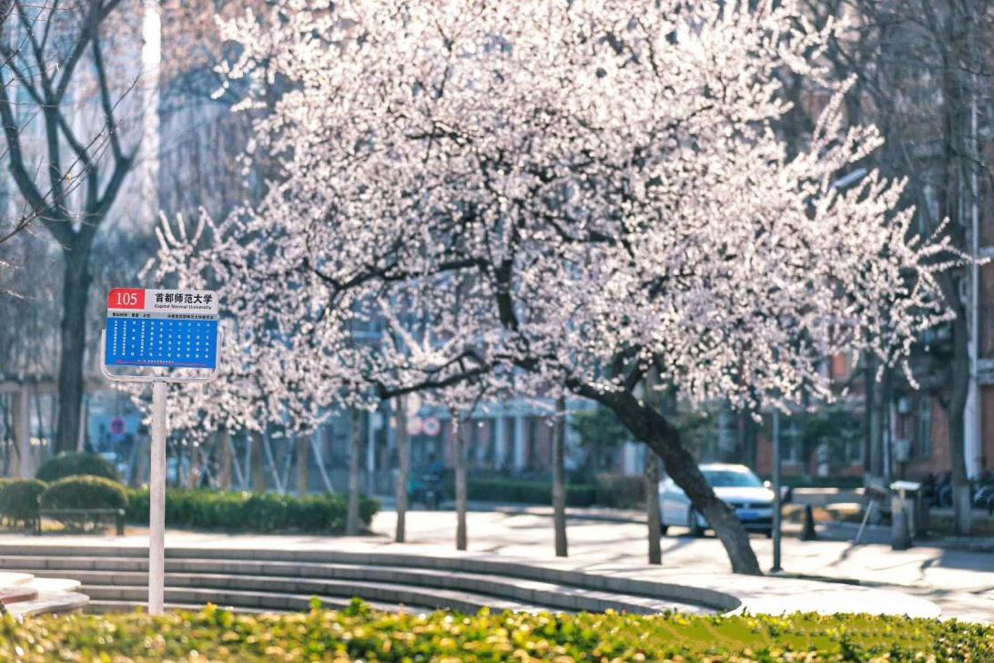 心有所向不畏将来剧名,心有所向可不畏惧道阻且长