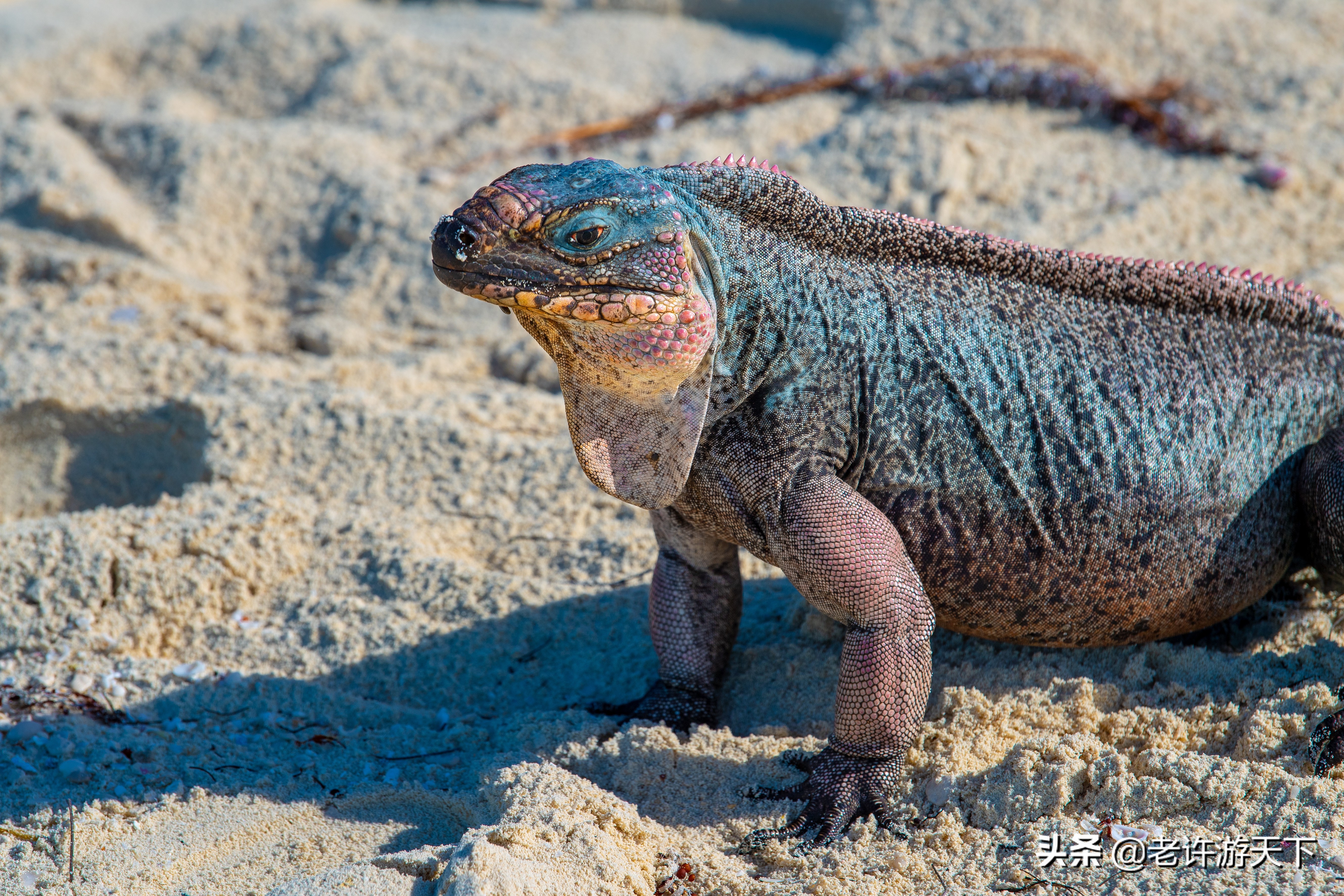 世界有名的海岛旅游胜地,世界10大最奇特海岛