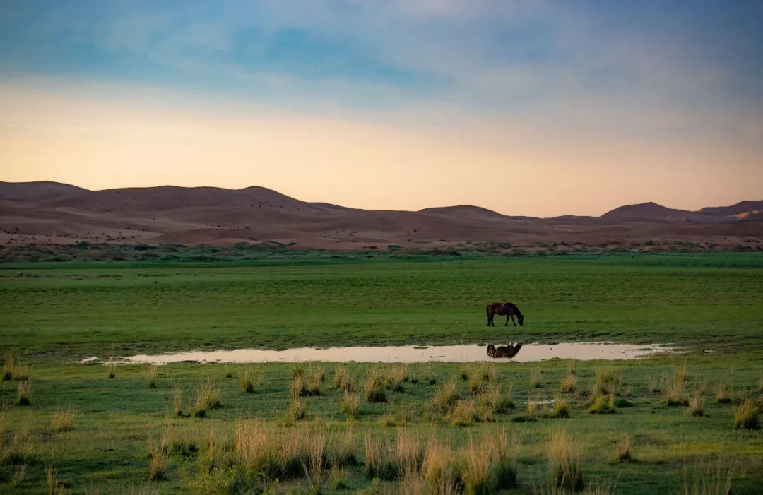 沙漠游学夏令营,儿童沙漠夏令营报名优惠