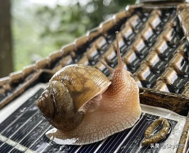 7万公里老款宝马x5,宝马x5的优缺点