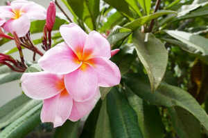 个性签名简短精辟句子大全,盘点那些精辟犀利的个性签名