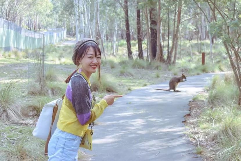 澳洲堪培拉景色,澳洲堪培拉动物园