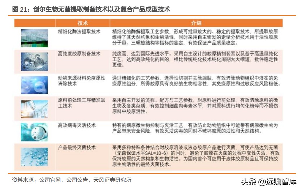 重组胶原蛋白未来趋势,胶原蛋白重组是高端产业吗