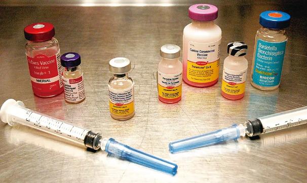 狗狗疫苗的种类和如何选择疫苗,狗狗疫苗接种时间怎么算