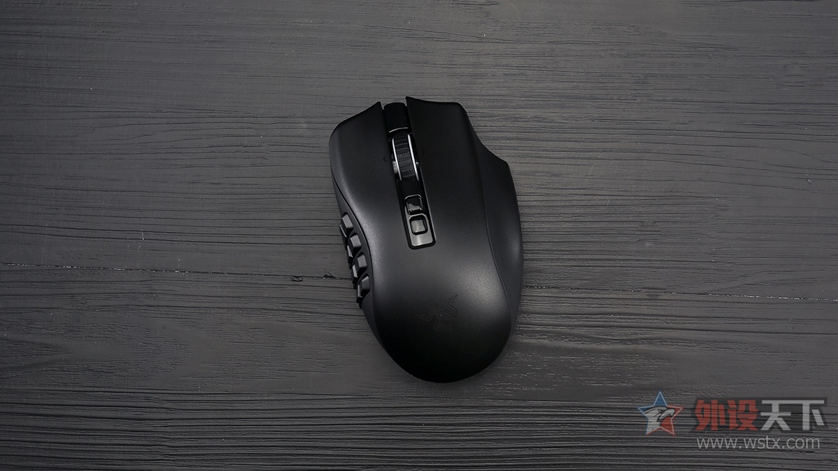 雷蛇那伽梵蛇鼠标宏,雷蛇那伽梵蛇专业版怎么装电脑上