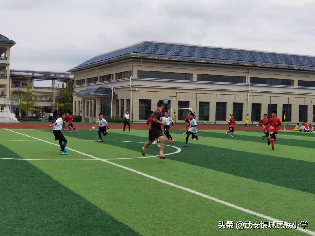 快乐足球放飞梦想演讲稿,快乐足球运动场