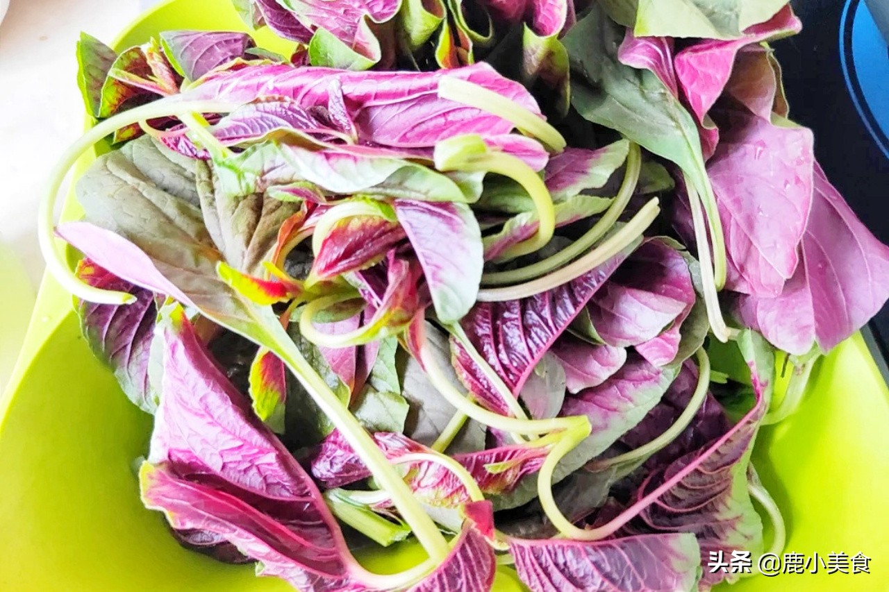 什么蔬菜含叶酸多可以治白头发,富含b12和叶酸多的食物和蔬菜