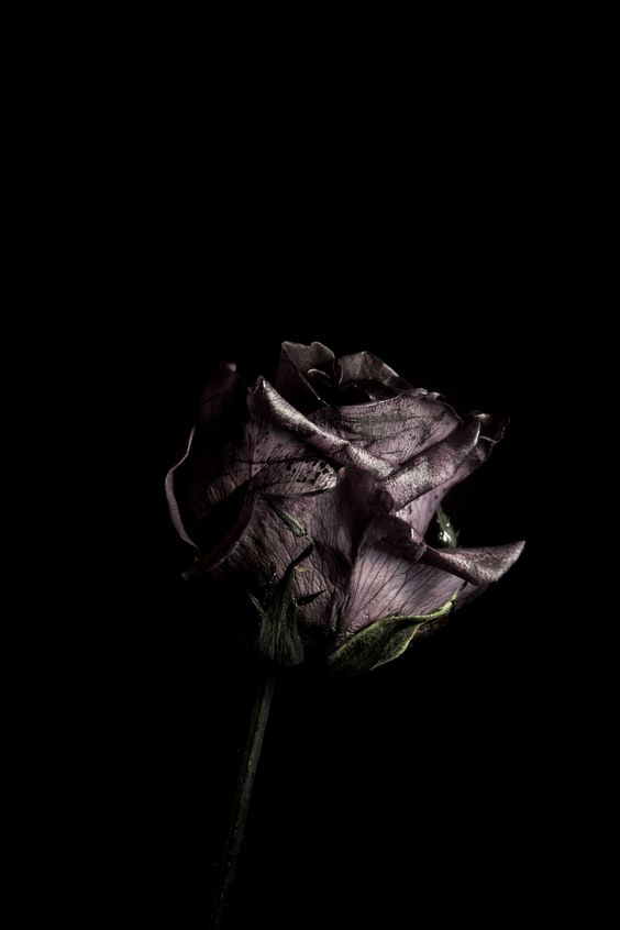 广东雨神爱情故事,现实版广东十年爱情故事